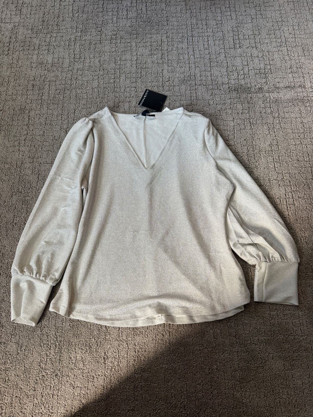 V-Neck Shimmer Long-Sleeve Top in Cream